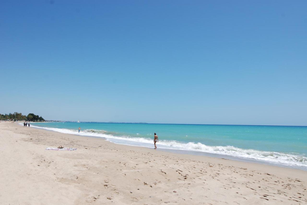 Apartament Zeus Guardamar Seaview Miami Playa Zewnętrze zdjęcie